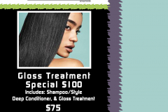 Hair-Gloss-Treatment